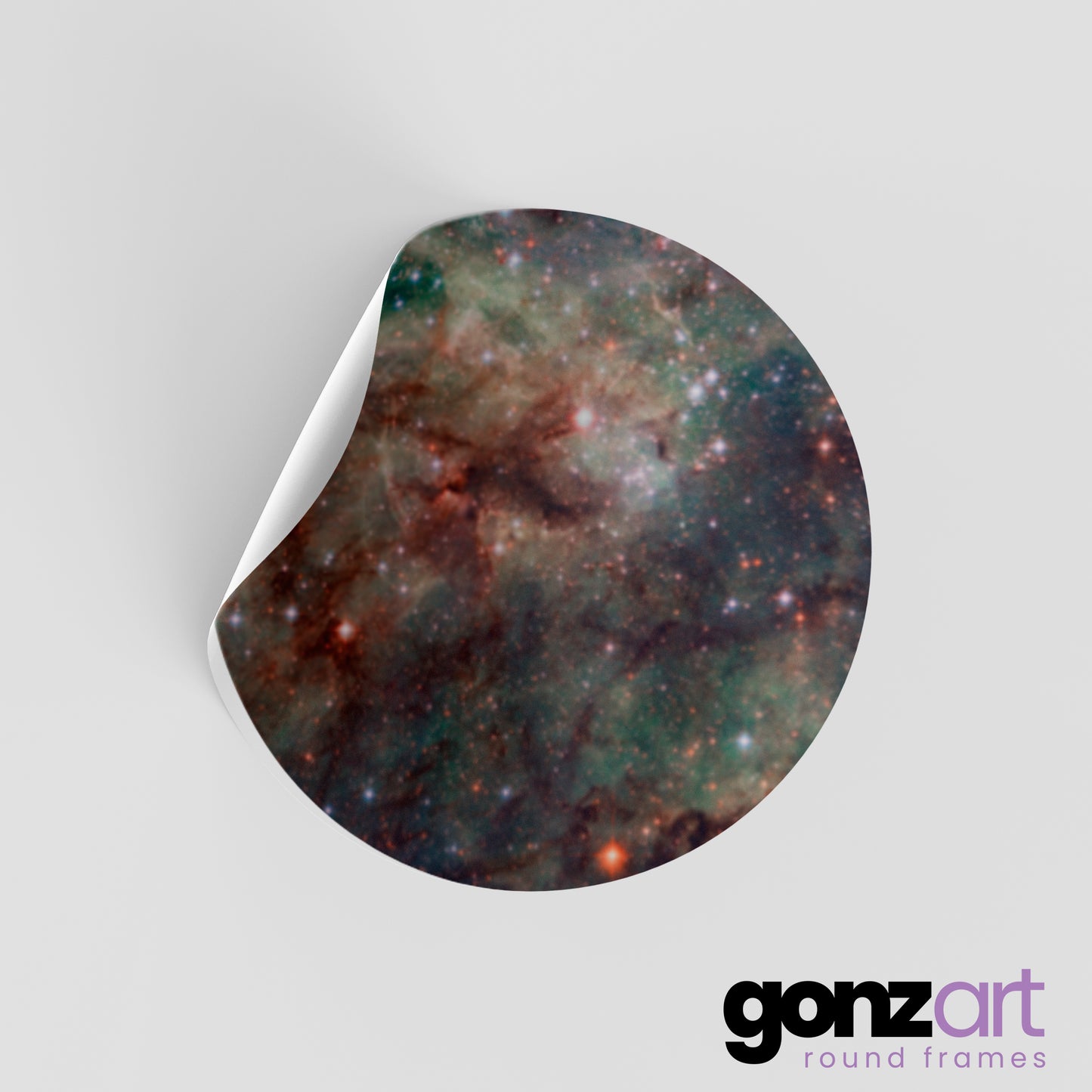 Tarantula Only Print (Giclée)