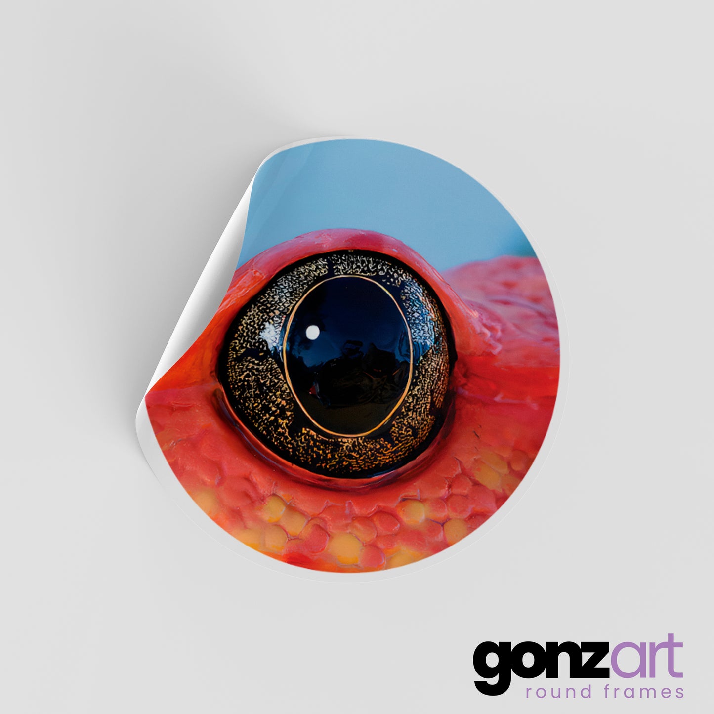 Frog Only Print (Giclée)