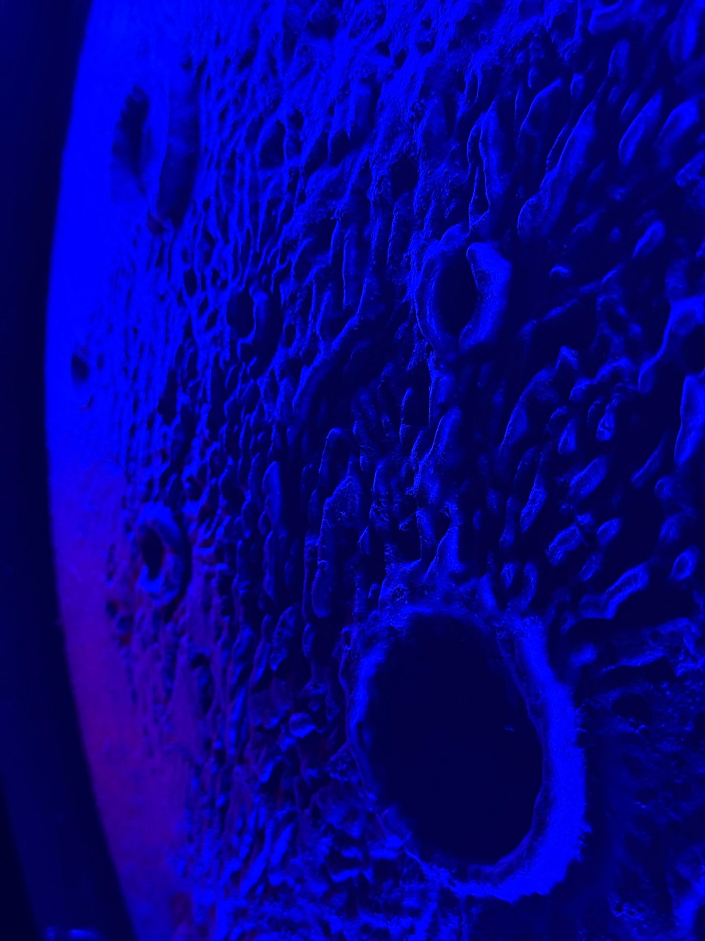 Mint Aura Moon Round Wall Art