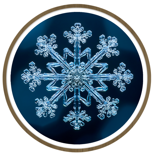 Fractal round wall art