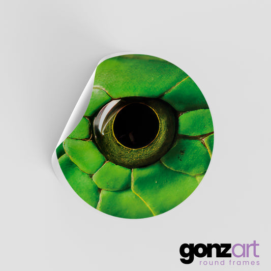 Python Only Print (Giclée)