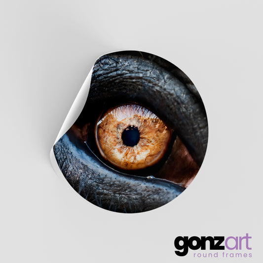 Elephant Only Print (Giclée)