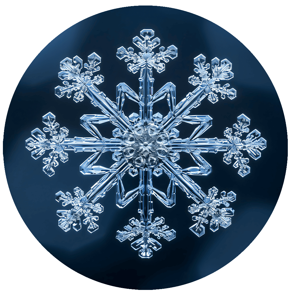 Fractal Only Print (Giclée)