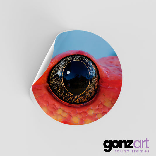 Frog Only Print (Giclée)