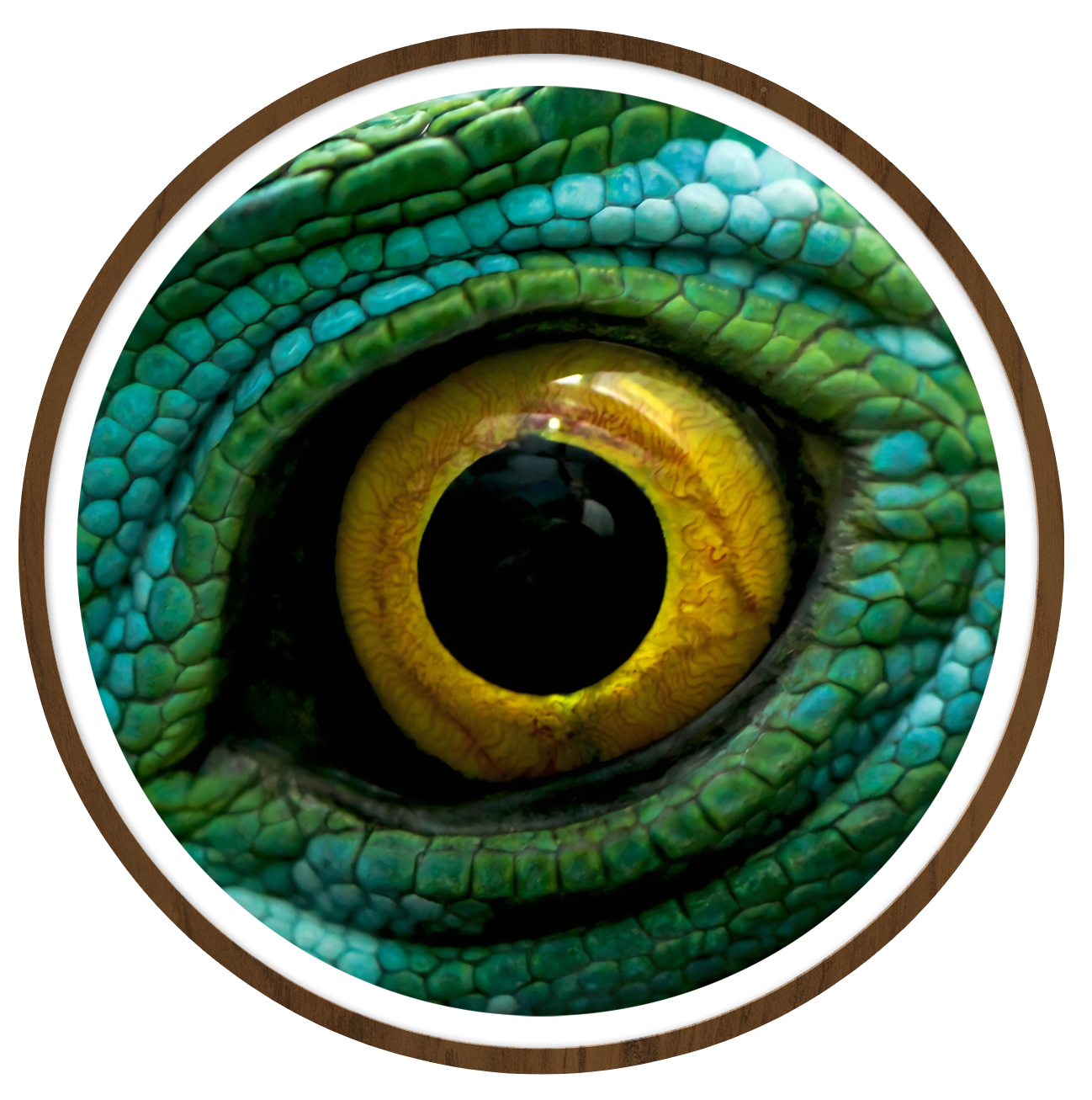 Green dragon Round wall art