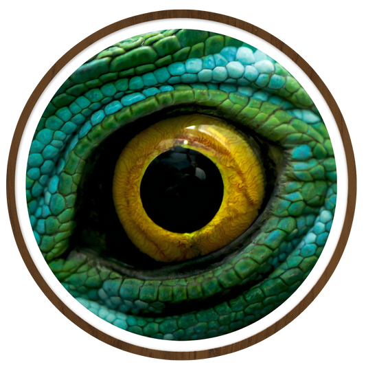 Green dragon Round wall art