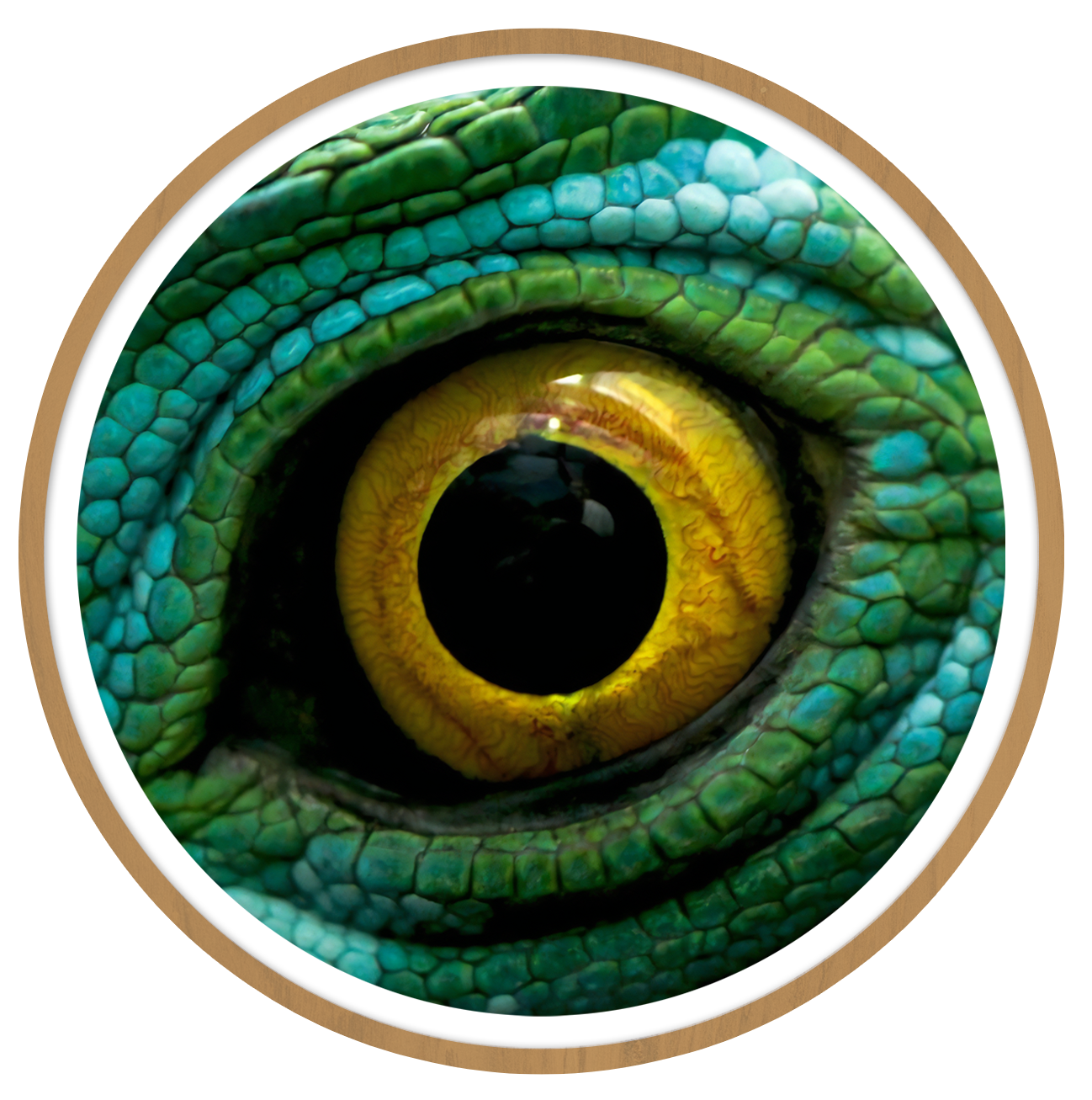 Green dragon Round wall art