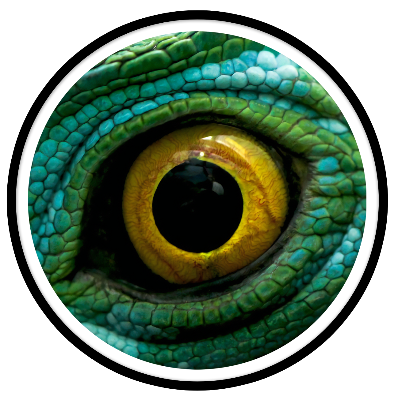 Green dragon Round wall art