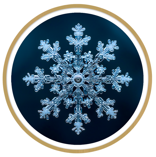 Serenade round wall art