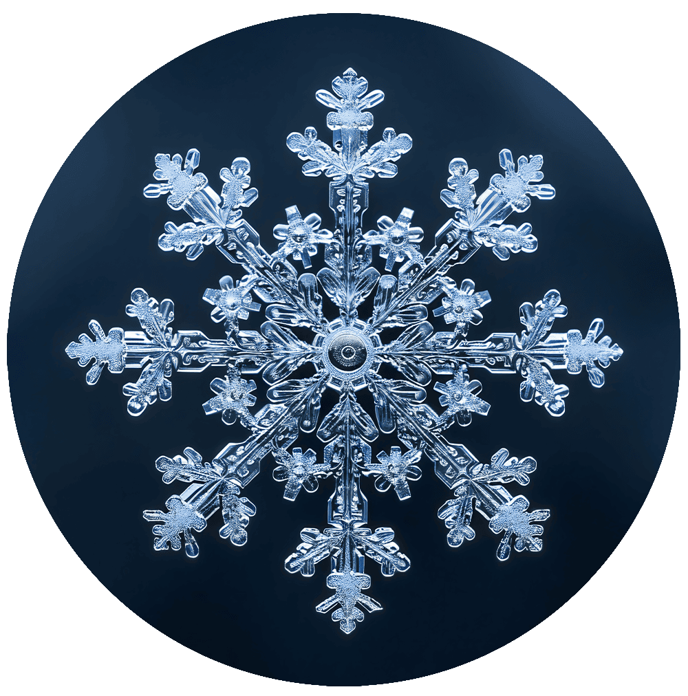 Serenade Only Print (Giclée)