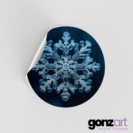 Star Only Print (Giclée)