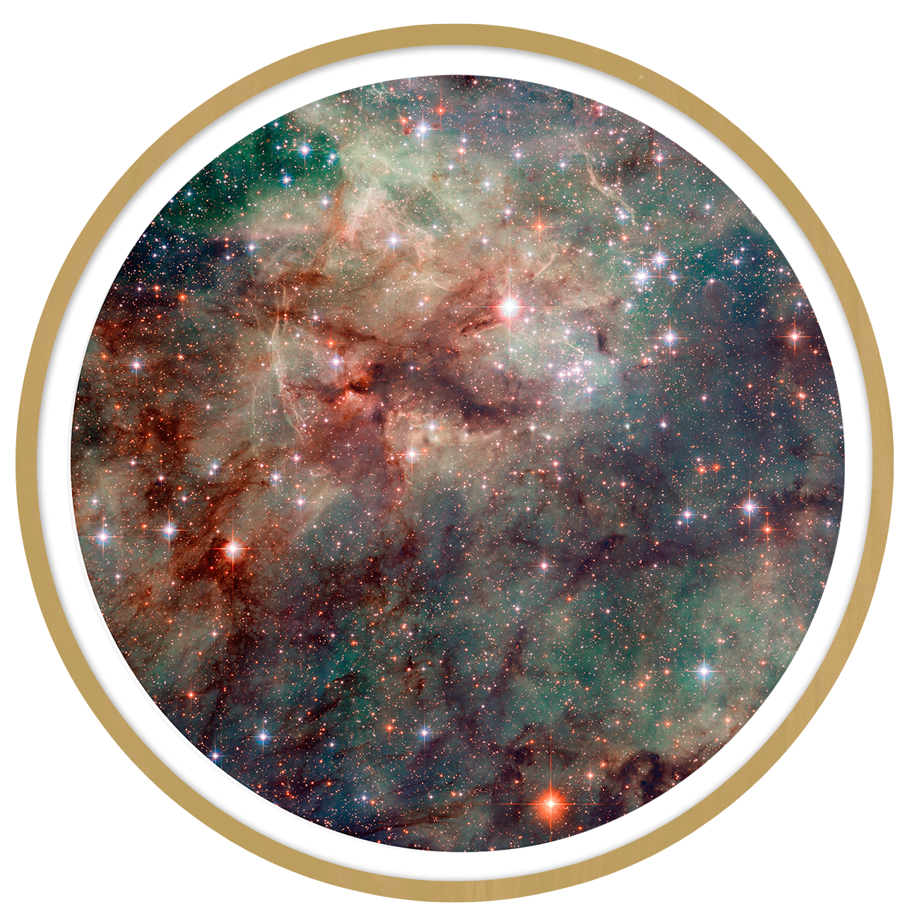 Tarantula Round wall art