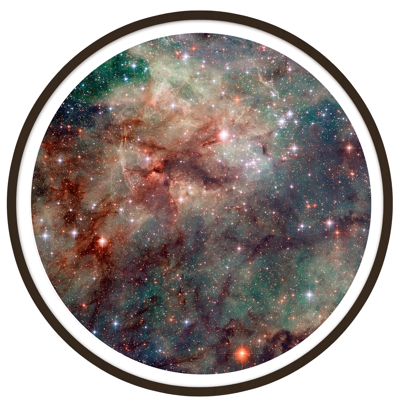 Tarantula Round wall art