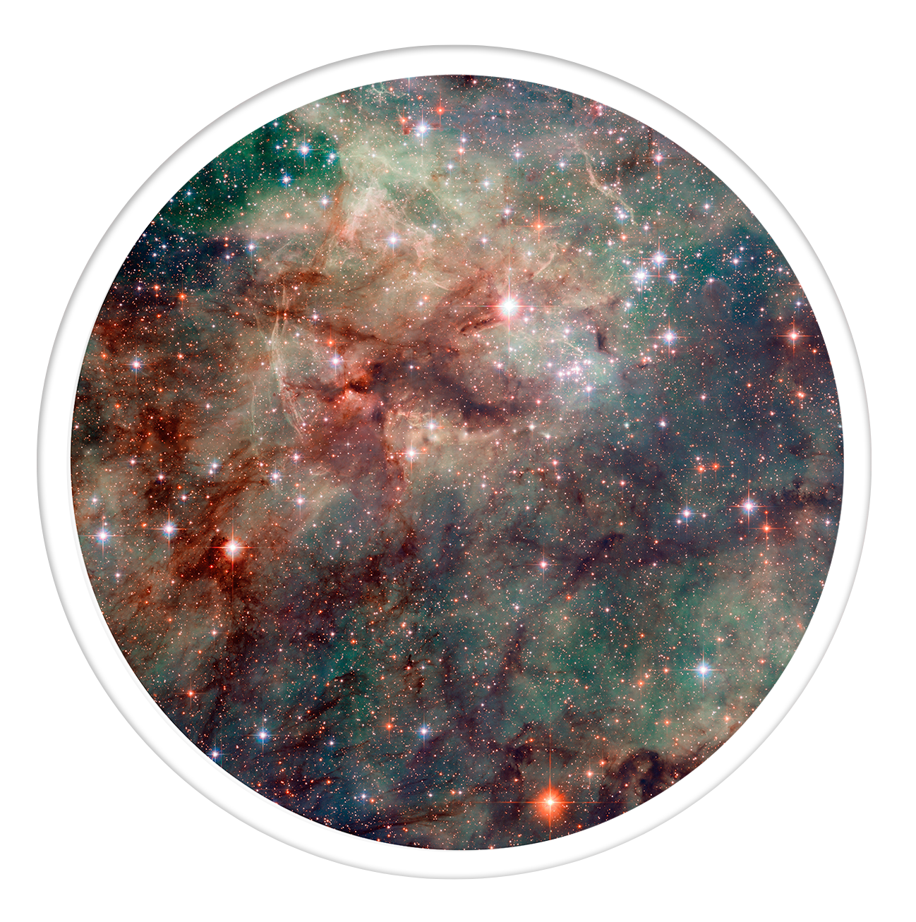 Tarantula Round wall art