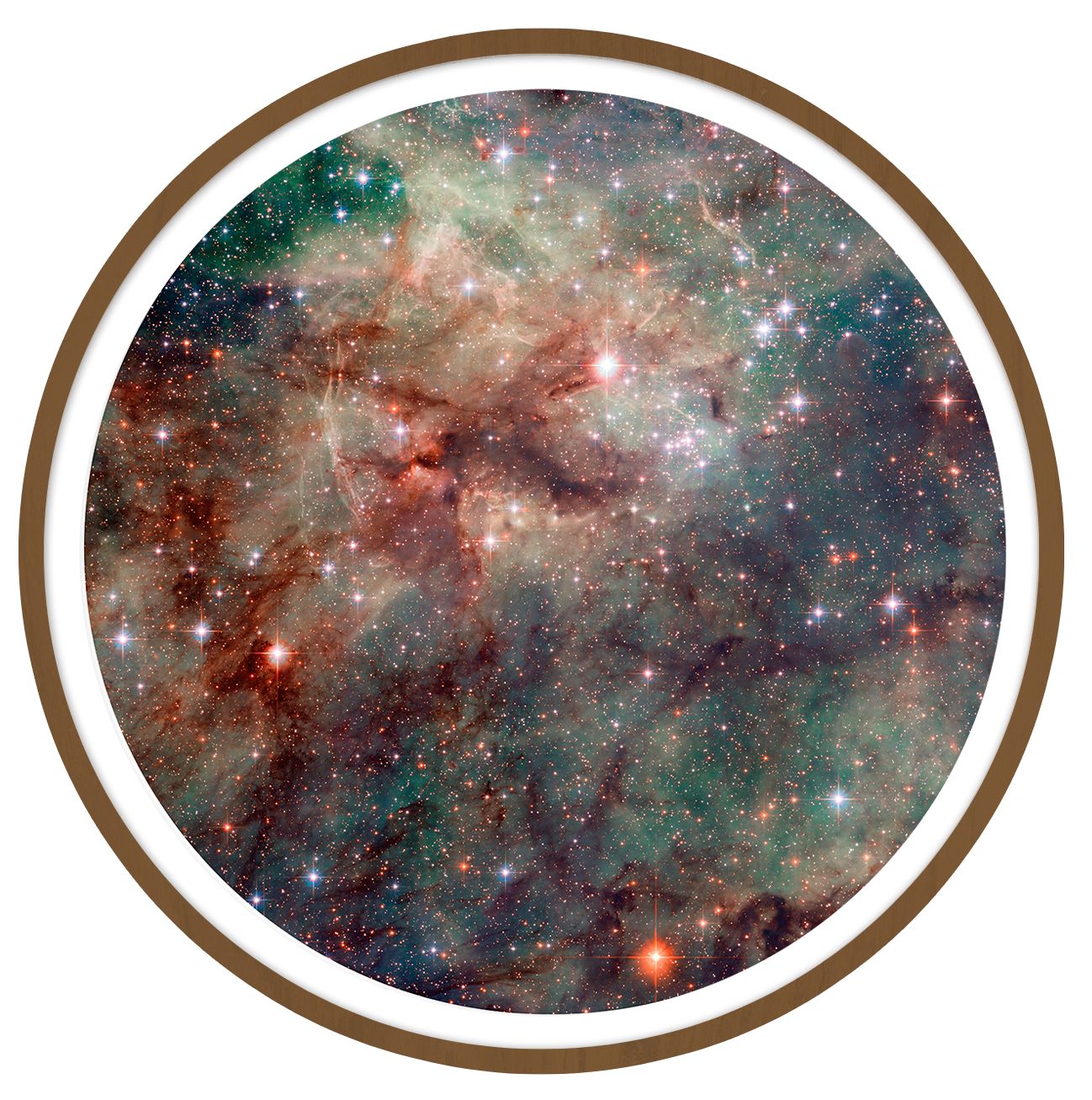 Tarantula Round wall art